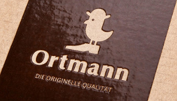 Дизайн логотипа бренда ортопедической обуви